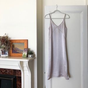 Everlane Party Slip Dress